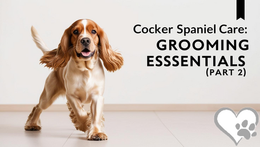 Title: Cocker Spaniel Care: Grooming Essentials (Part 2)