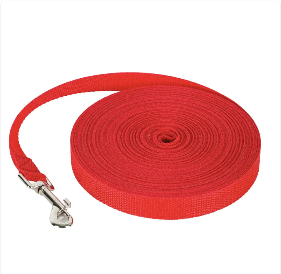 Reflective Puppy Harness with Leash Extension