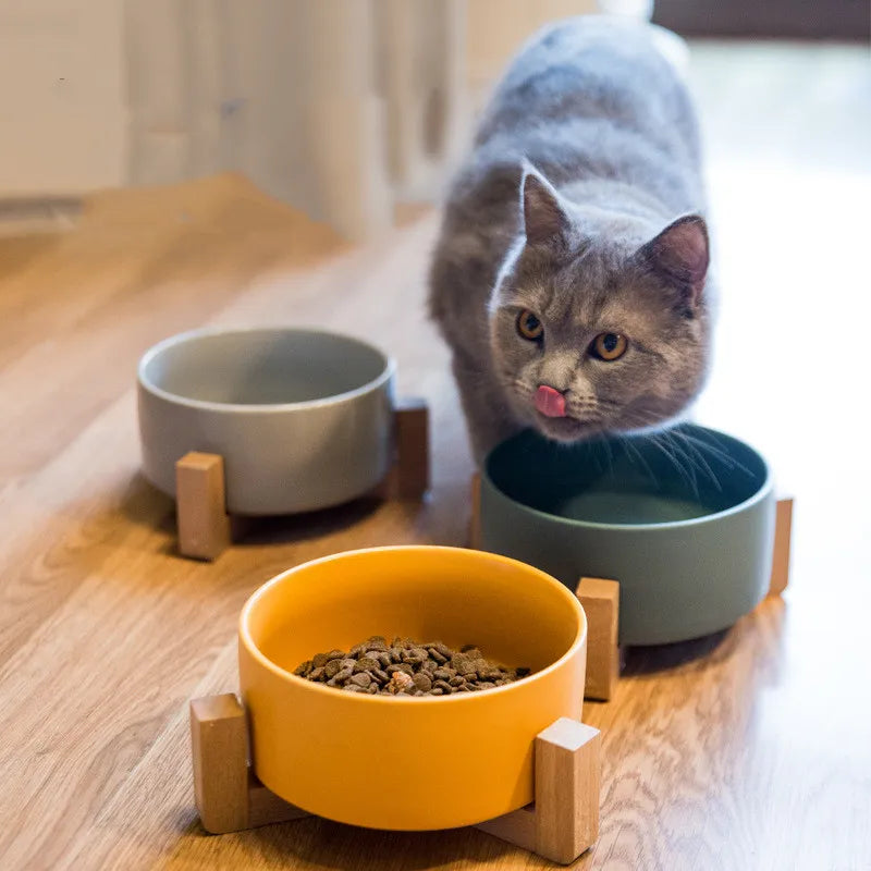 Bowls and Feeders