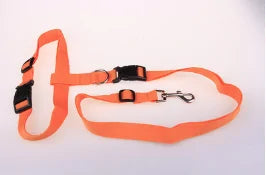 Runner's Companion Dog Leash