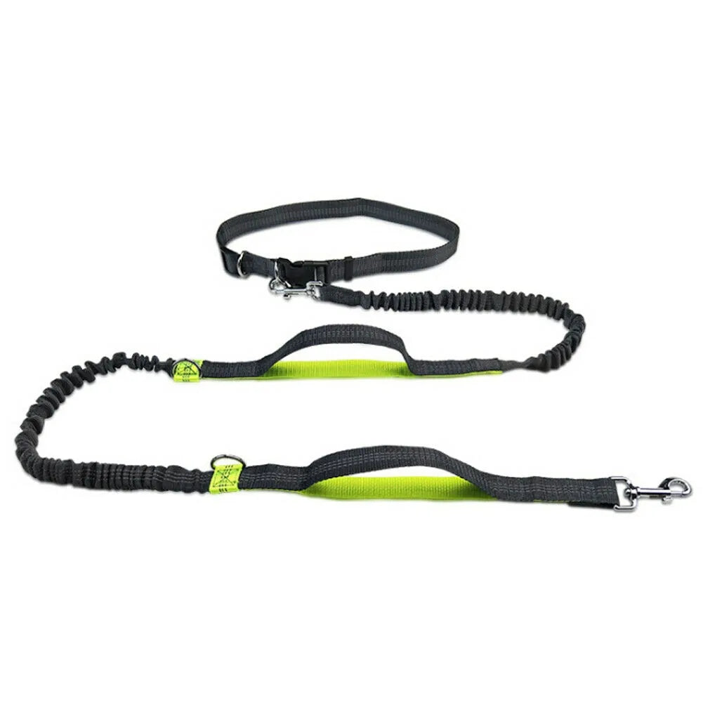 GlowTrack Pet Leashes