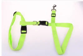 Runner's Companion Dog Leash