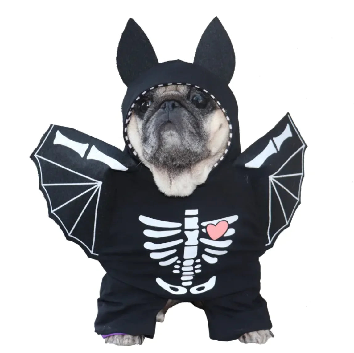 Black Bat Costume for Dogs