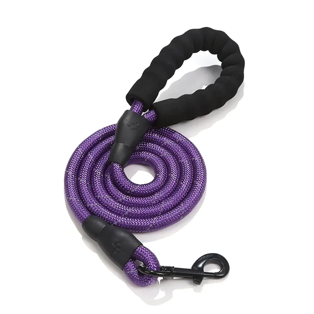 GlowGuard Dog Leash