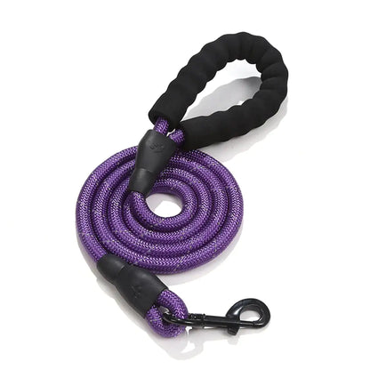 GlowGuard Dog Leash