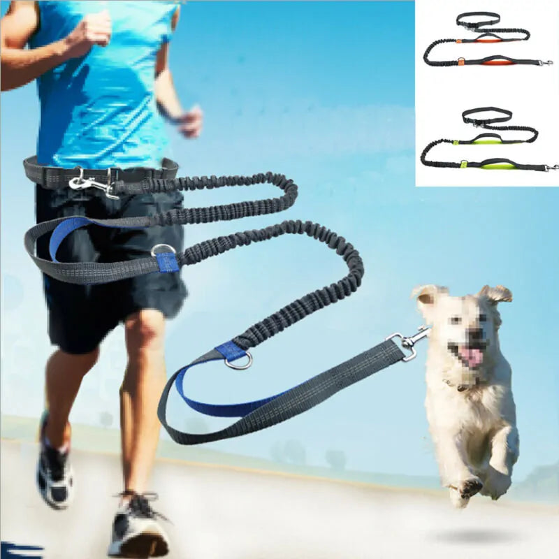 GlowTrack Pet Leashes