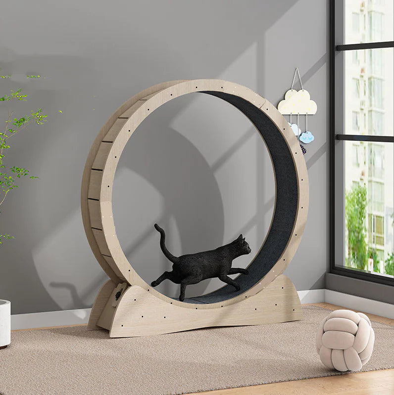 Silent Cat Exercise Wheel