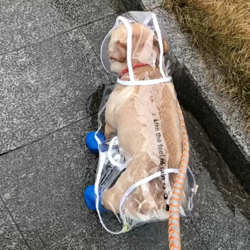 Rain-Ready Dog Jacket