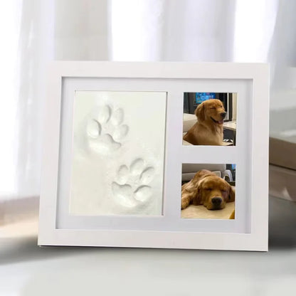 DIY Pet Pawprint Kit