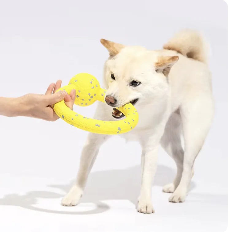 Durable Dog Chew Toys for Aggressive Chewers - Bite-Resistant Teething Toys