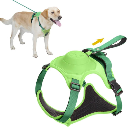 Adventure Pup All-In-One Safety Harness