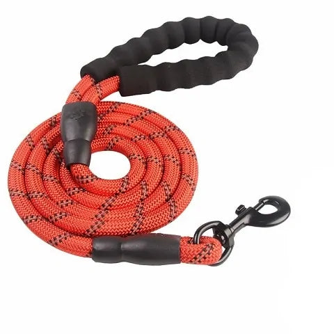 Reflective Nylon Dog Leash: Comfort and Safety