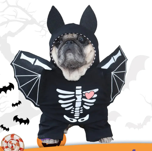 Black Bat Costume for Dogs