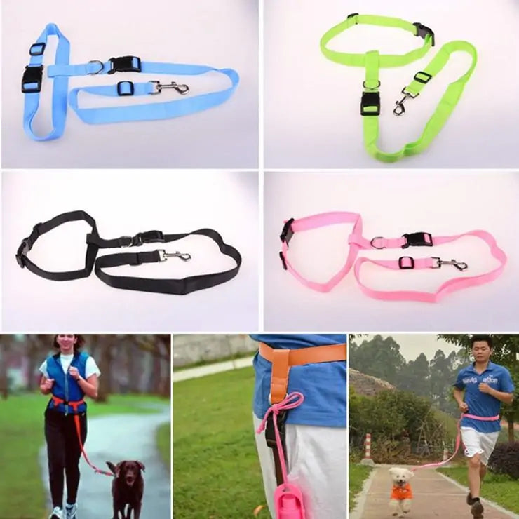 Runner's Companion Dog Leash