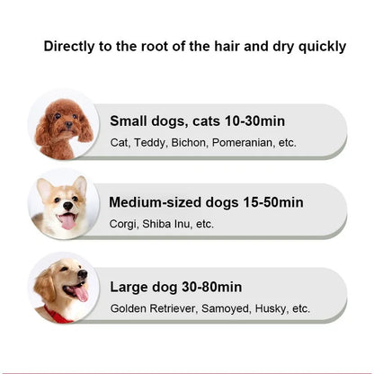 Dual-Function Pet Styler Dryer & Comb