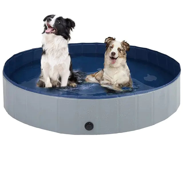 Summer Pet Splash Pool