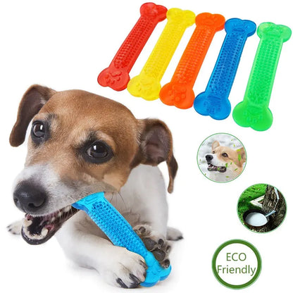 Pet Oral Health Chew Toy