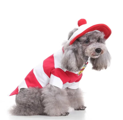 Fun Dog Costumes