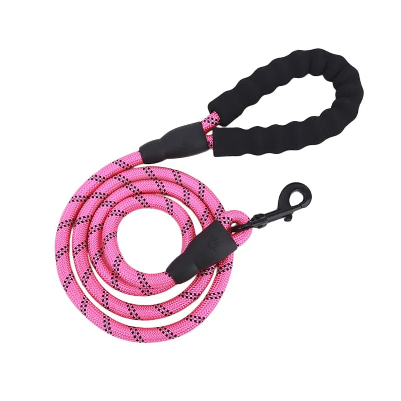 Reflective Nylon Dog Leash: Comfort and Safety