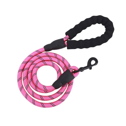 Reflective Nylon Dog Leash: Comfort and Safety