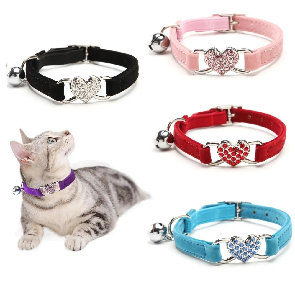 Pet Training Leash Collars