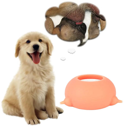 Puppy/Kitten Nurture Dish