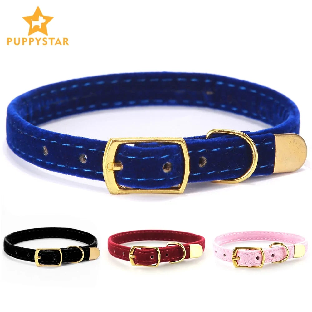 Collar For Small Cats & Dogs