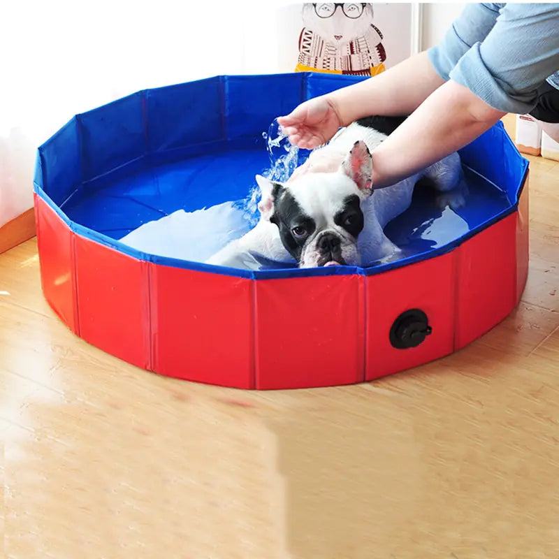 Summer Pet Splash Pool