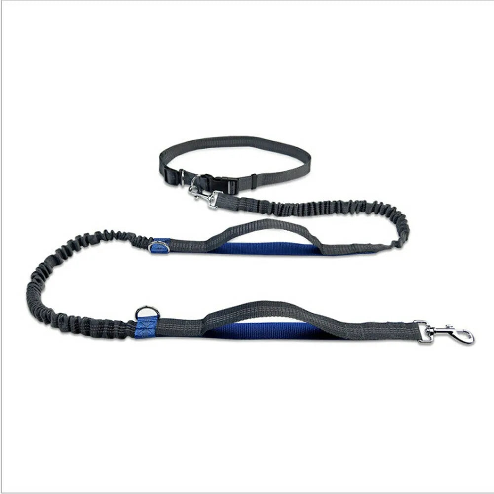 GlowTrack Pet Leashes