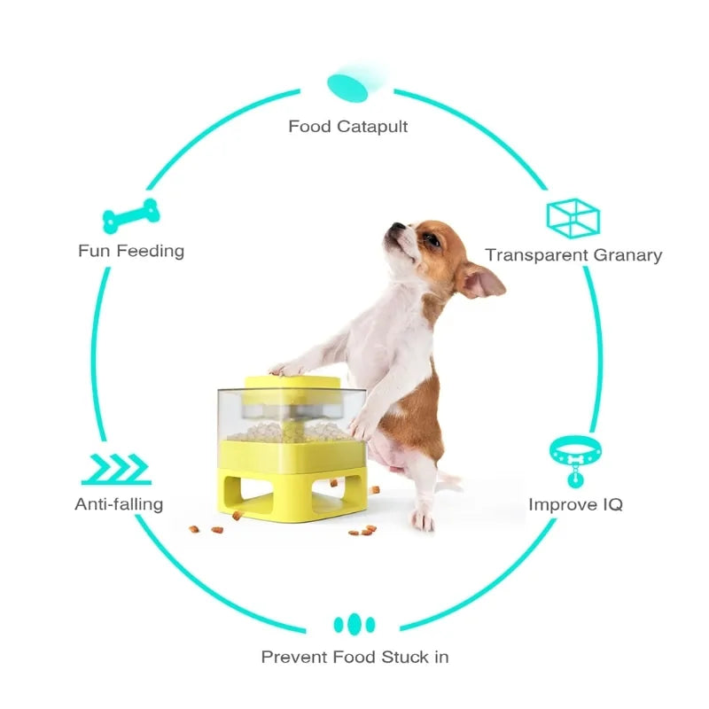 Smart Feeding Station for Dogs