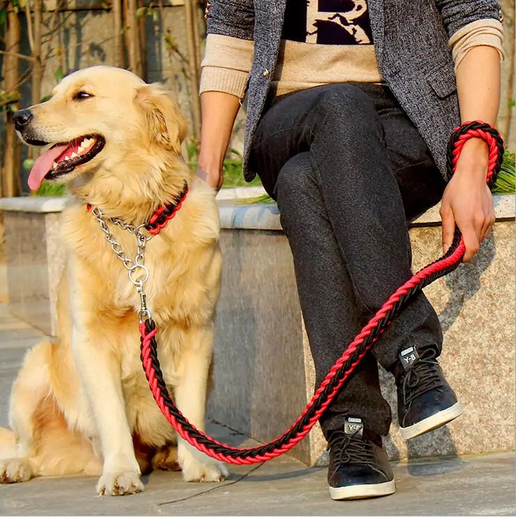 Chic Robust Leash Set for Large Dogs