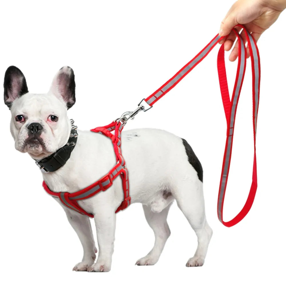 Secure Pet Leash Kit