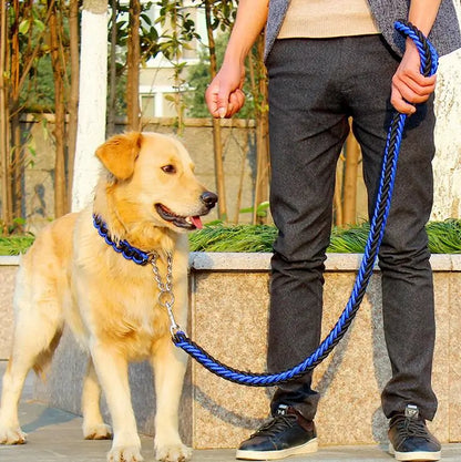 Chic Robust Leash Set for Large Dogs