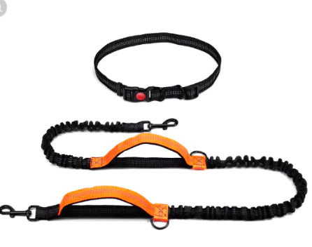 Hands-Free Dog Leash with Zipper Bag