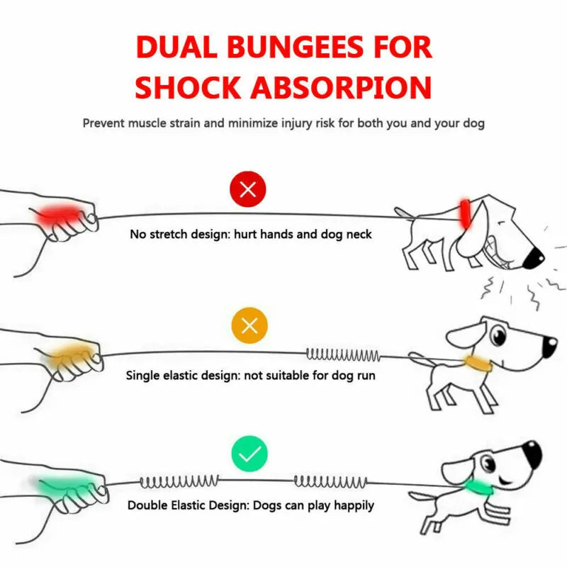 GlowTrack Pet Leashes