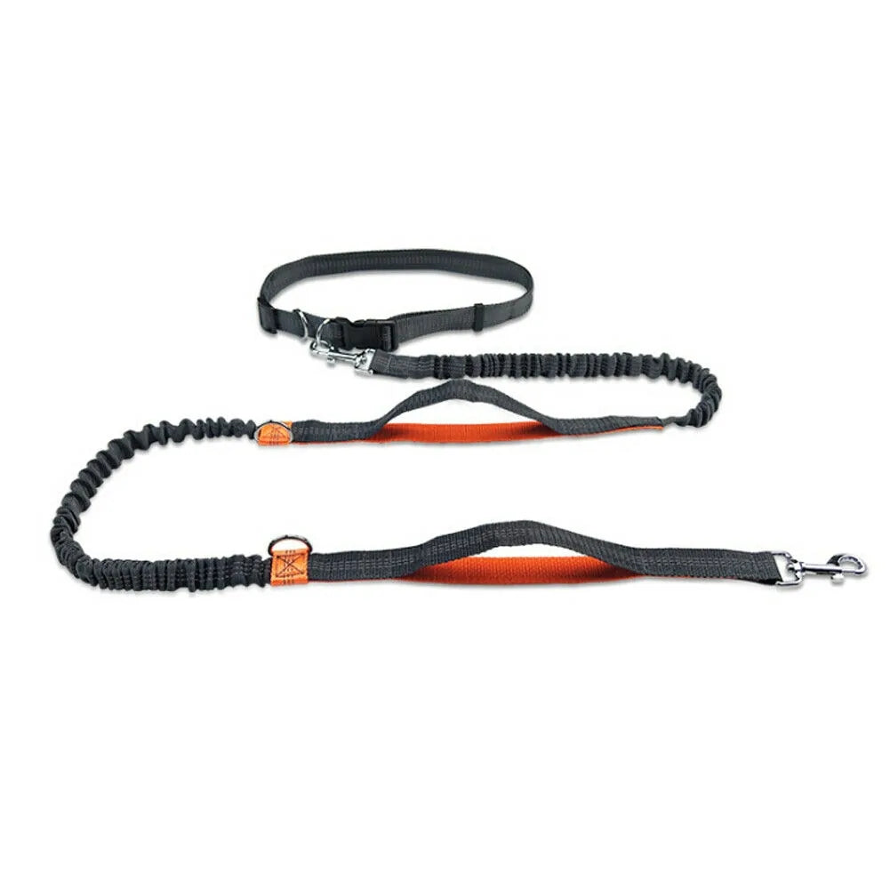 GlowTrack Pet Leashes