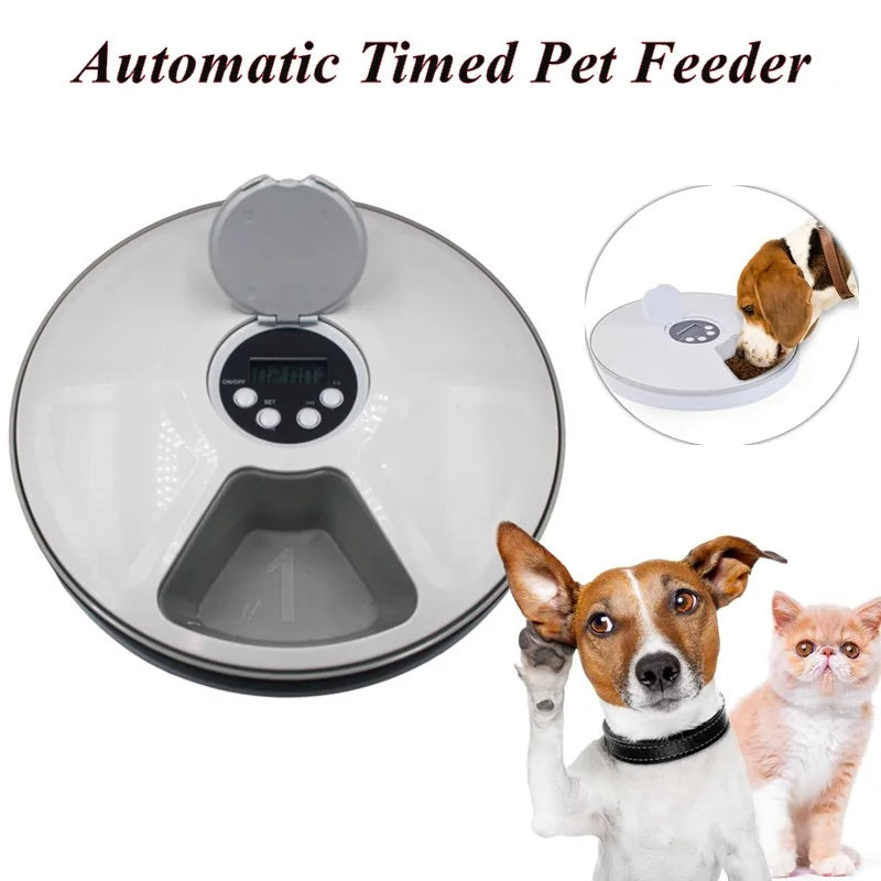 Automatic 6-Meal Pet Feeder