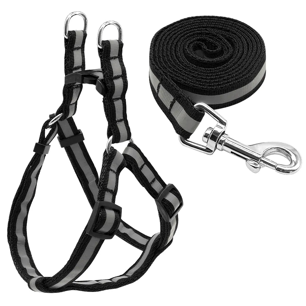 Secure Pet Leash Kit