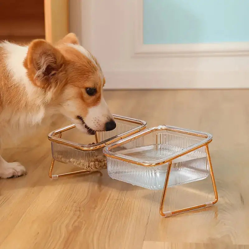 Stylish Pet Comfort Bowls