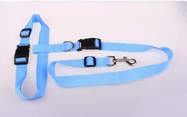 Runner's Companion Dog Leash