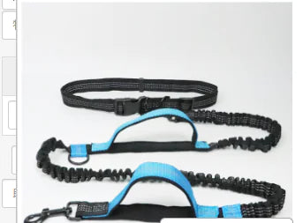 Hands-Free Dog Leash with Zipper Bag