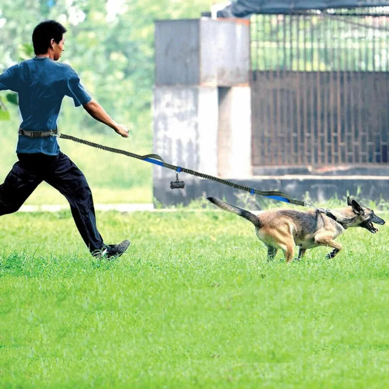 GlowTrack Pet Leashes