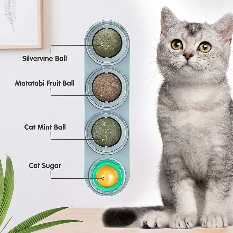 Feline Fun Catnip Wall Balls