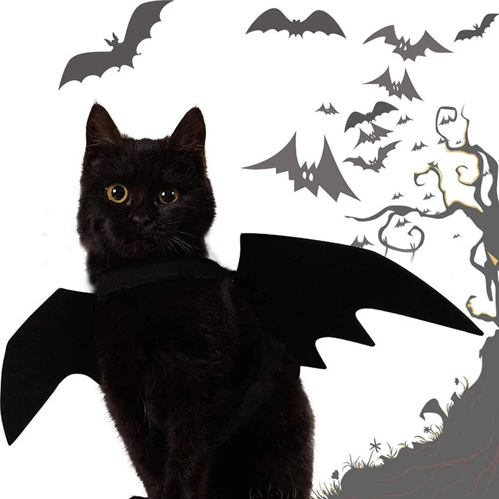 Spooky Bat Pet Costume