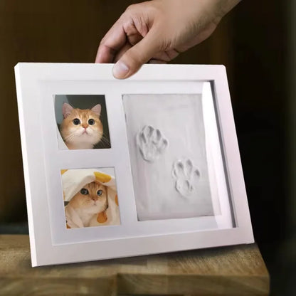 DIY Pet Pawprint Kit