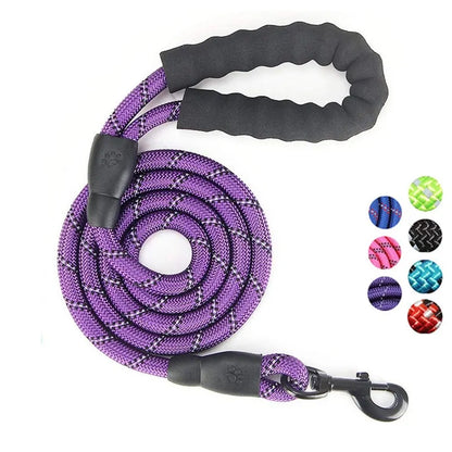 Reflective Nylon Dog Leash: Comfort and Safety