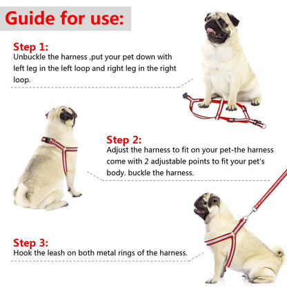 Secure Pet Leash Kit