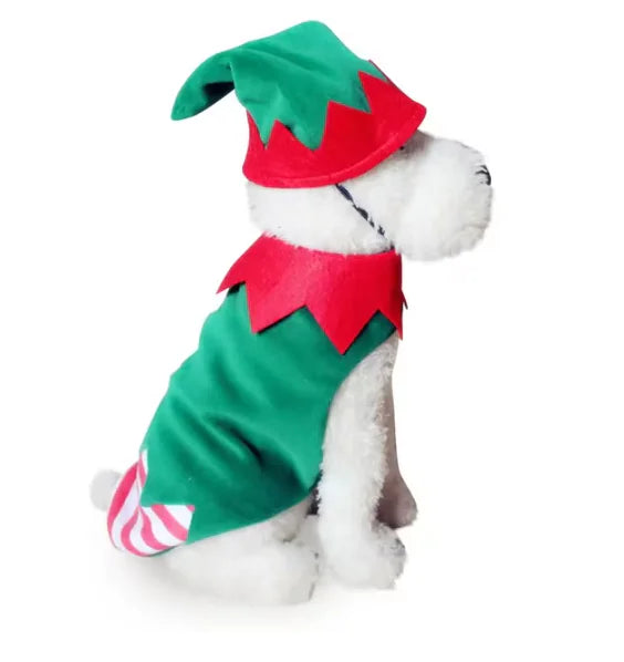 Fun Dog Costumes