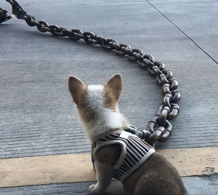 Classic Iron Dog Leash