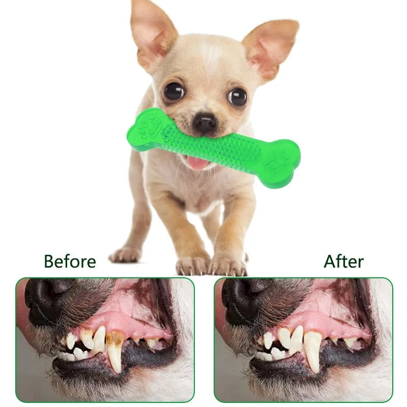 Pet Oral Health Chew Toy